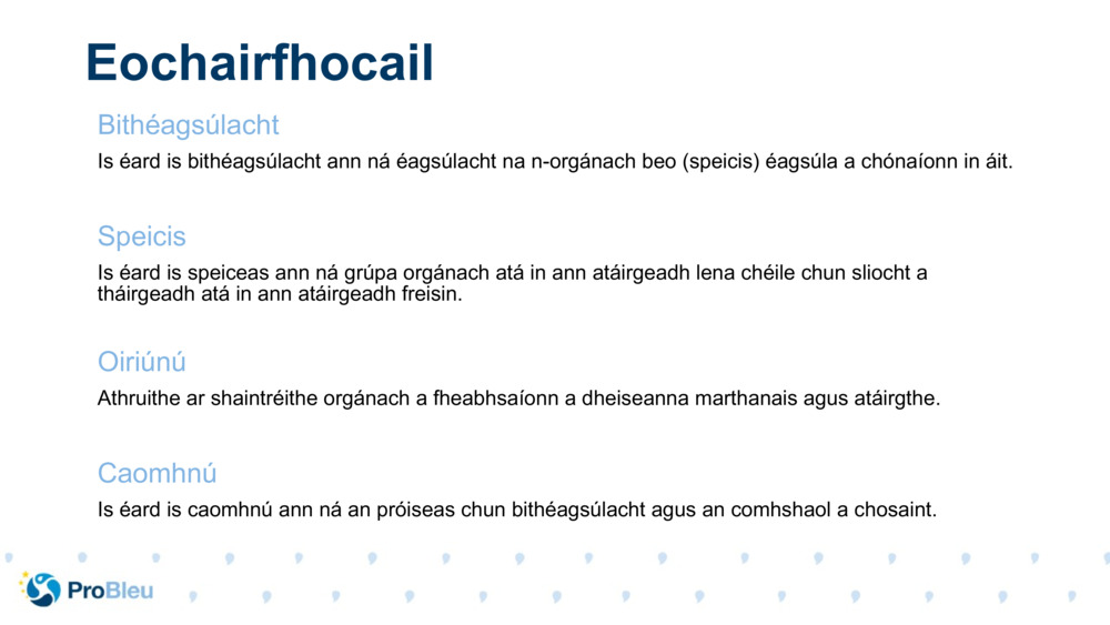 Eochairfhocail