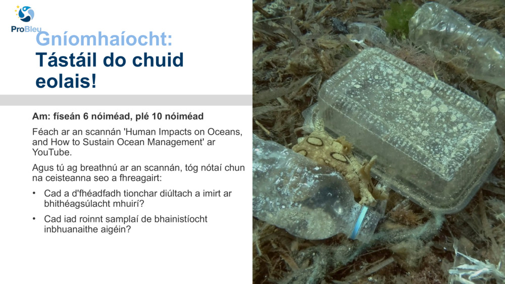 Gníomhaíocht: 
