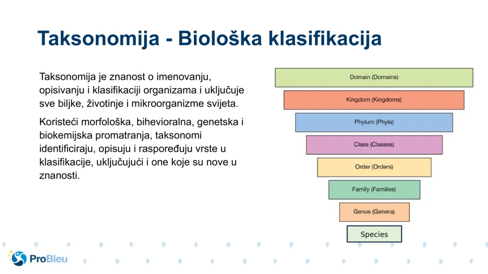Taksonomija je znanost o imenovanju, opisivanju i klasifikaciji organizama i uključuje sve biljke, životinje i mikroorganizme svijeta.