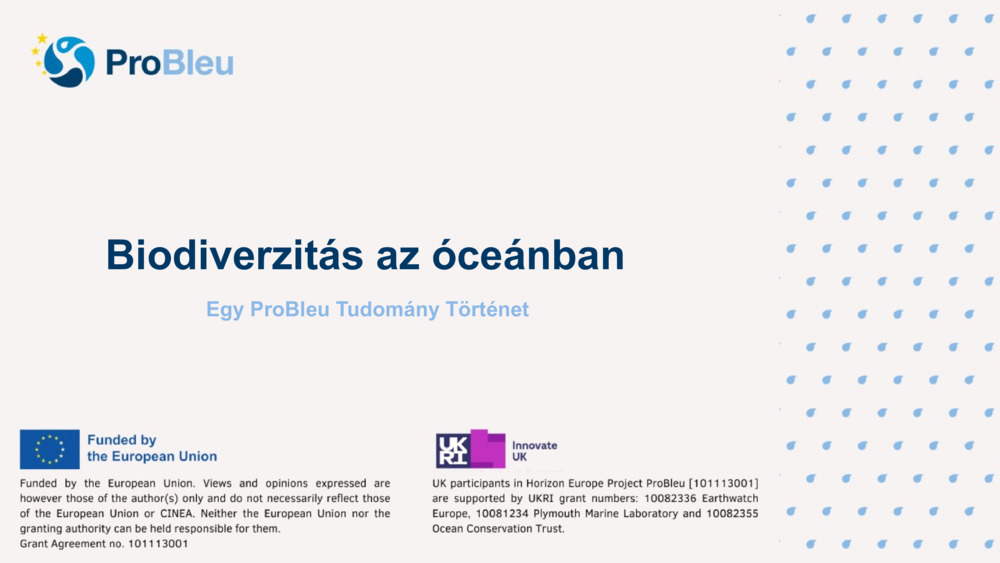 Biodiverzitás az óceánban