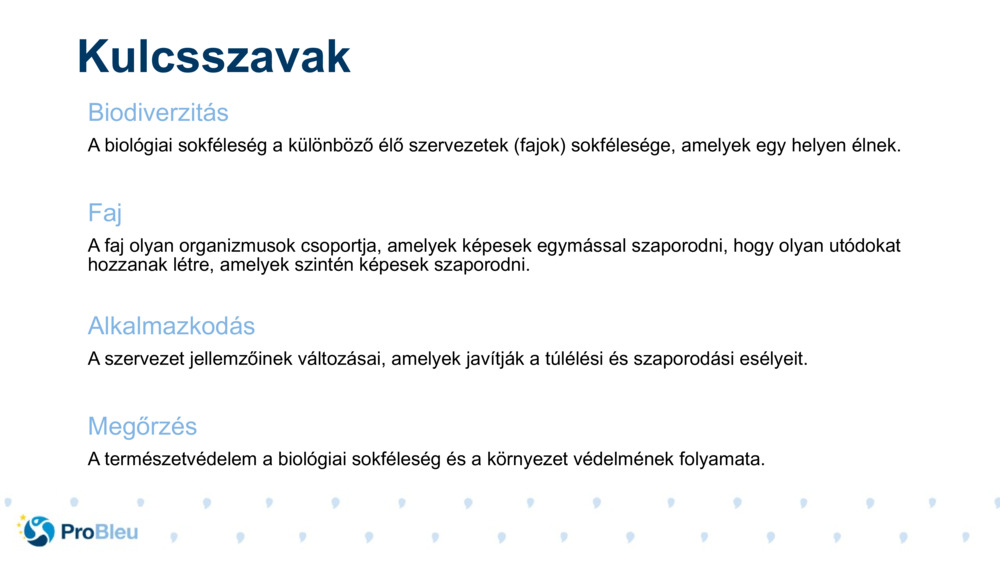 Kulcsszavak