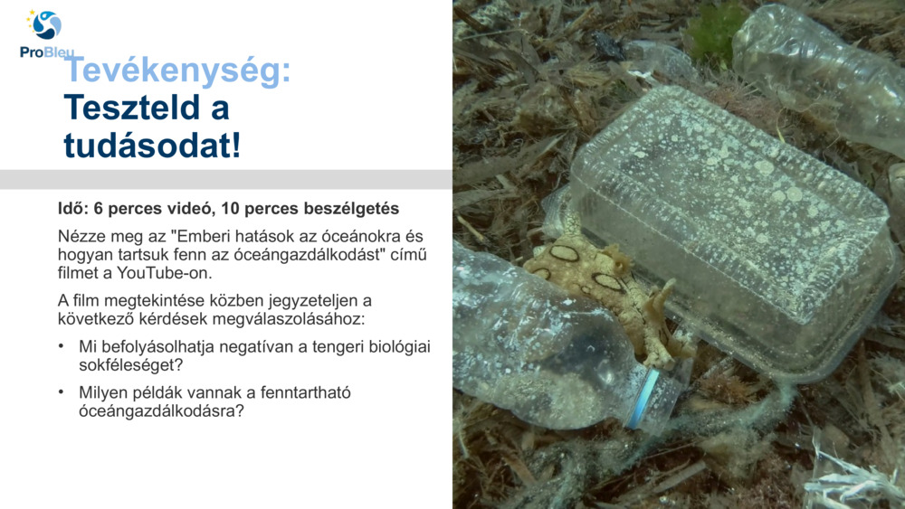 Tevékenység: 