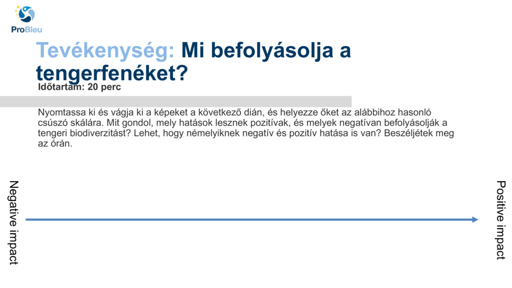 Tevékenység: 