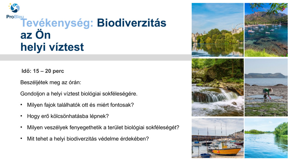 A biodiverzitás felfedezése a Plymouth Marine Laboratory-val