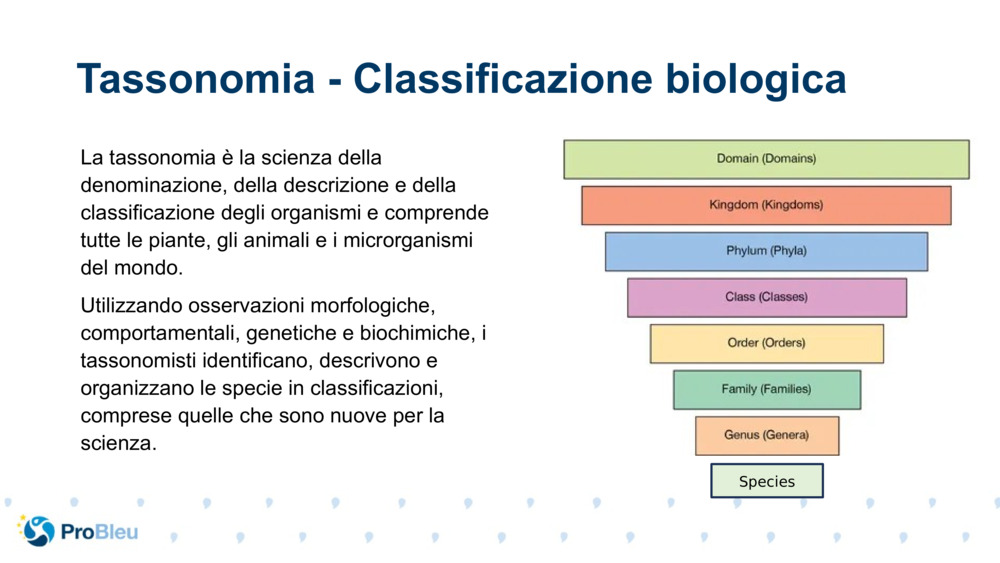 La tassonomia è la scienza della denominazione, della descrizione e della classificazione degli organismi e comprende tutte le piante, gli animali e i microrganismi del mondo.