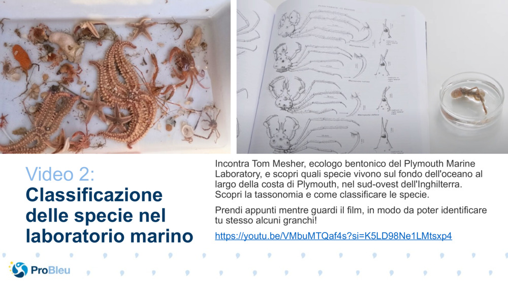 Video 2: 