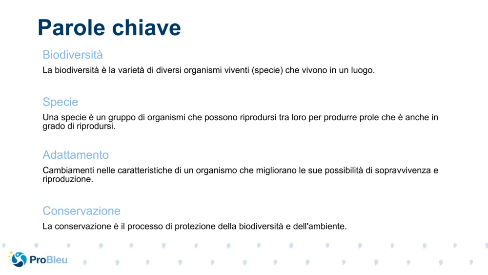 Parole chiave