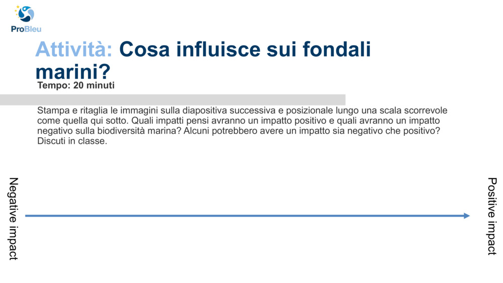 Attività: 