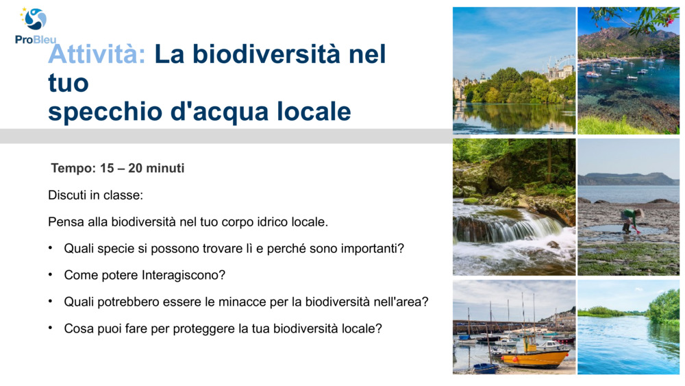 Esplorare la biodiversità con il Plymouth Marine Laboratory