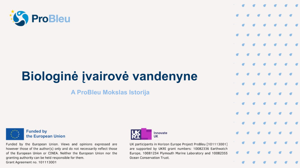 Biologinė įvairovė vandenyne