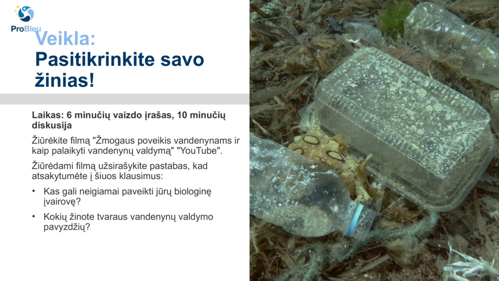 Veikla: 