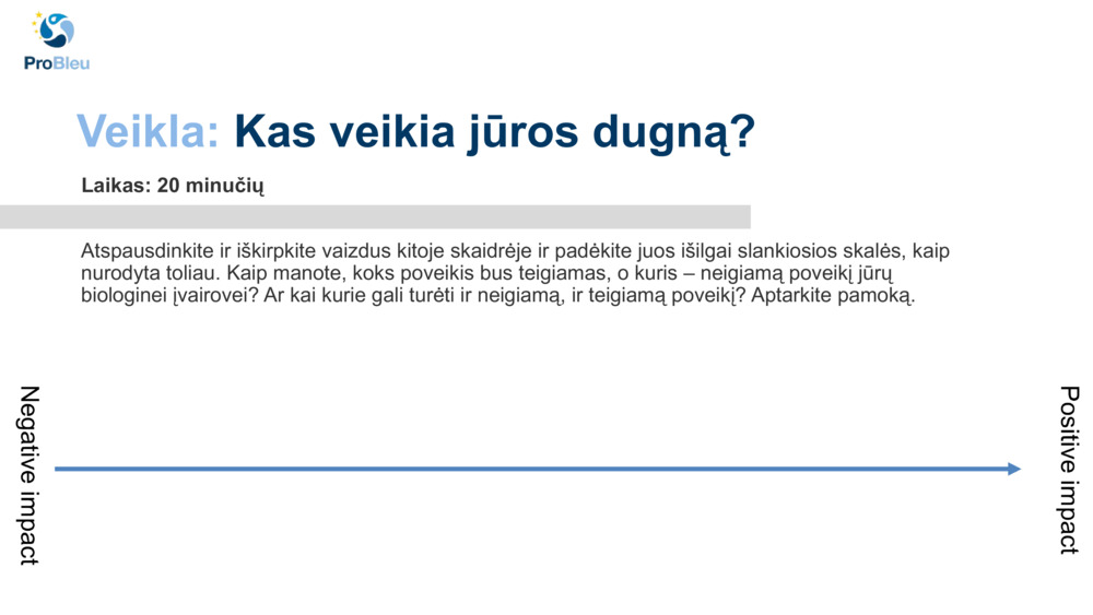 Veikla: 