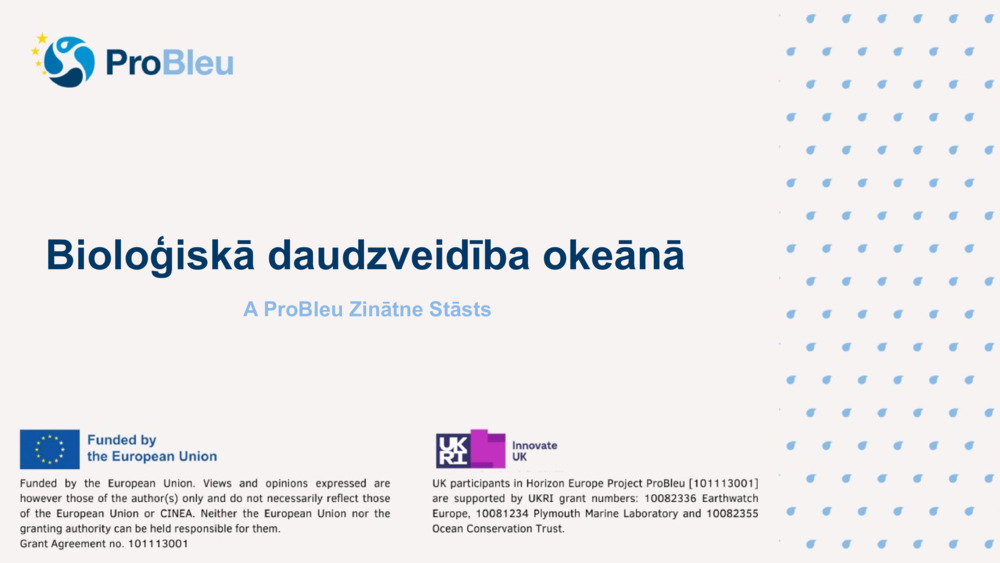 Bioloģiskā daudzveidība okeānā