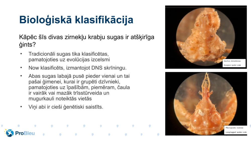 Bioloģiskā klasifikācija 
