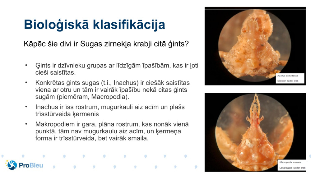 Bioloģiskā klasifikācija 