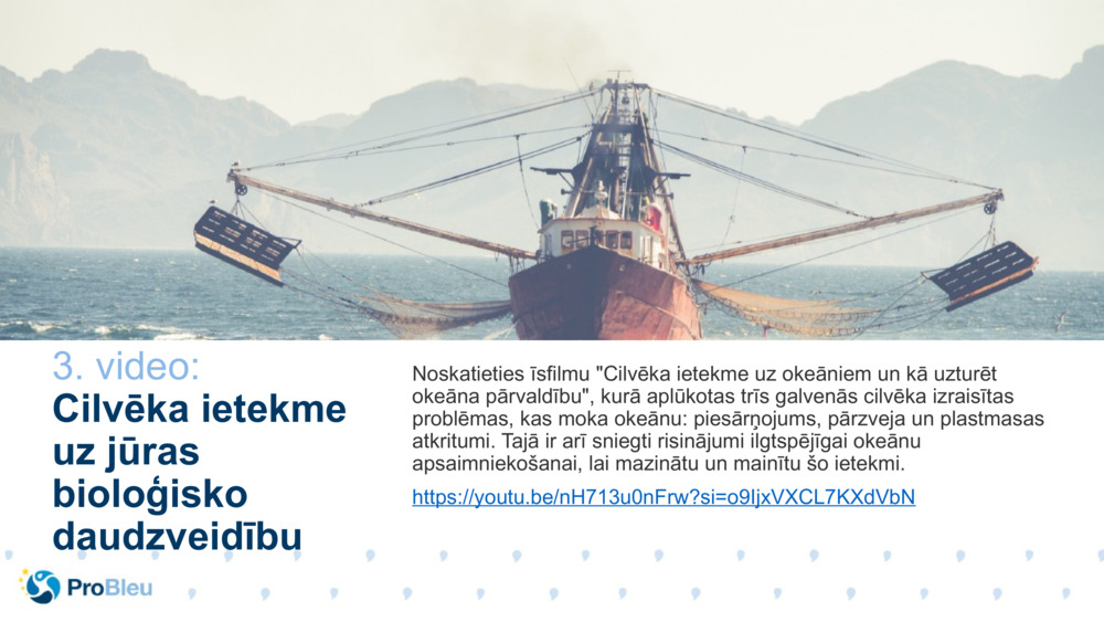 3. video: 
