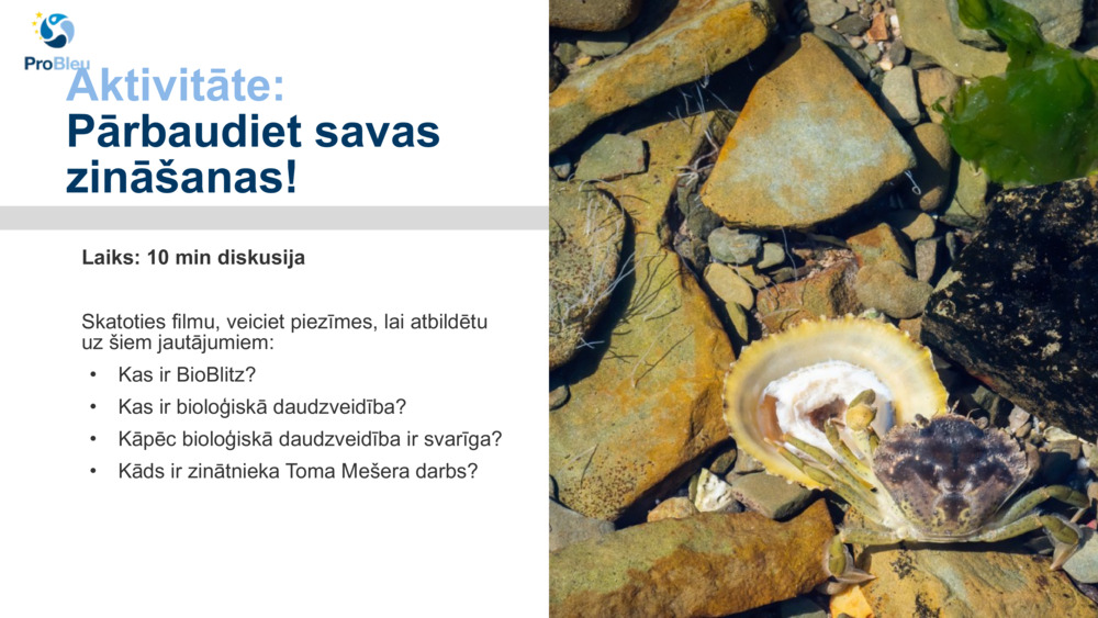 Aktivitāte: 