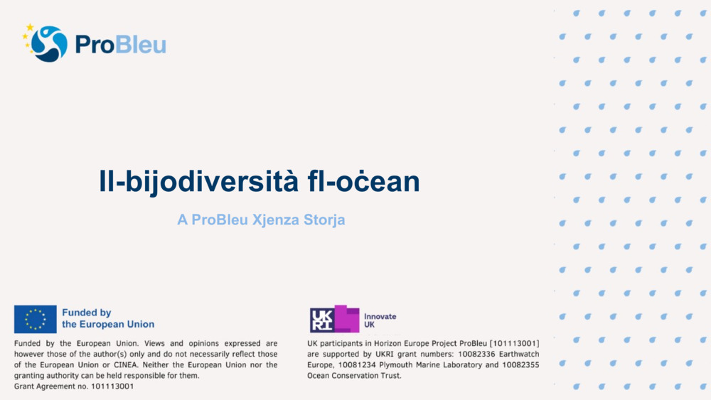 Il-bijodiversità fl-oċean