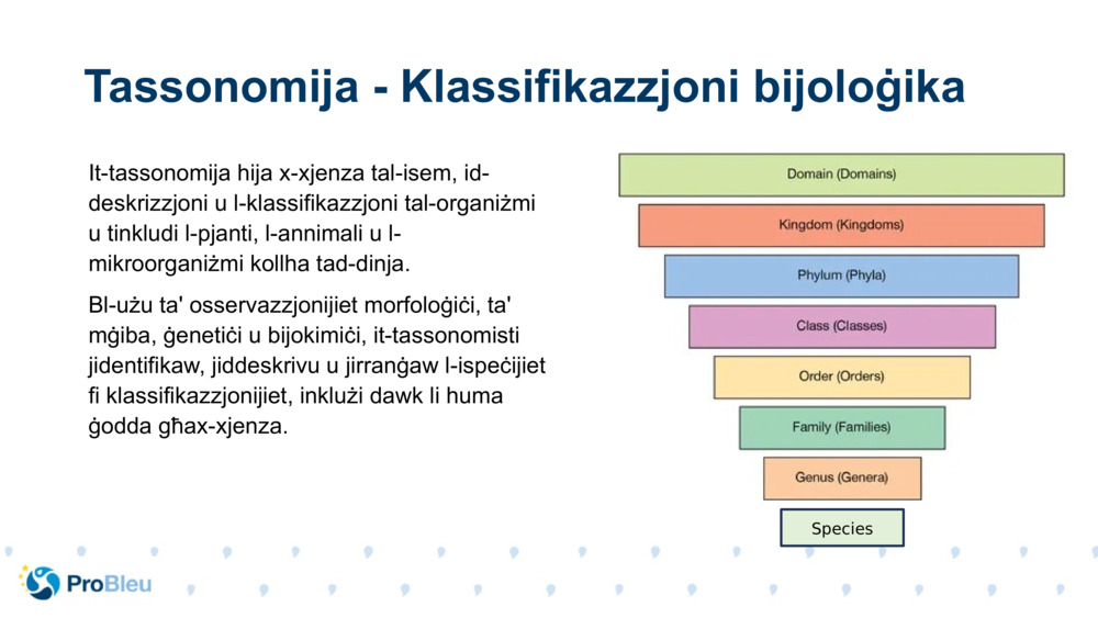 It-tassonomija hija x-xjenza tal-isem, id-deskrizzjoni u l-klassifikazzjoni tal-organiżmi u tinkludi l-pjanti, l-annimali u l-mikroorganiżmi kollha tad-dinja.