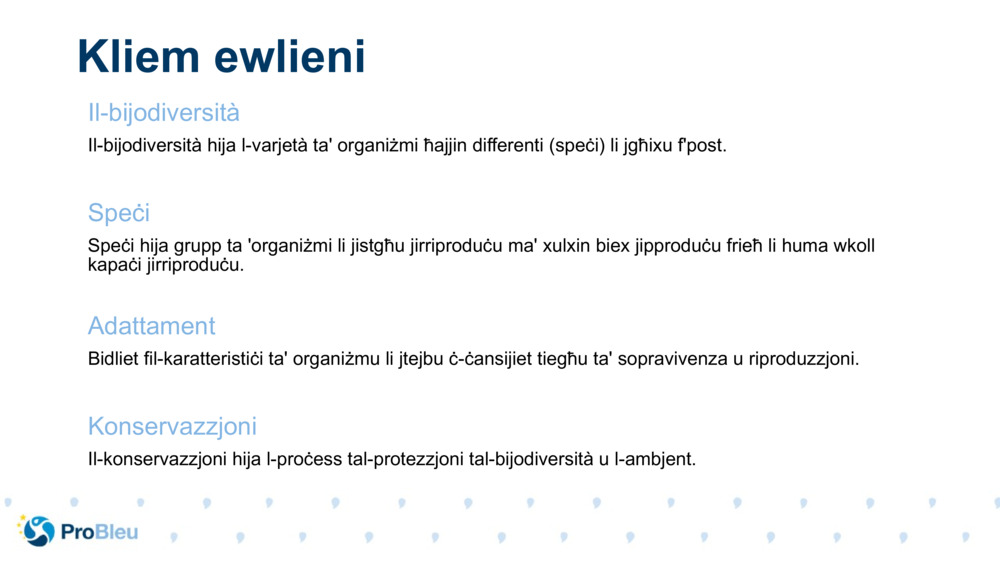 Kliem ewlieni