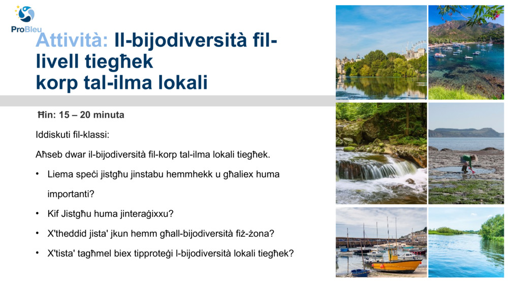 Esplorazzjoni tal-Bijodiversità ma 'Plymouth Marine Laboratory