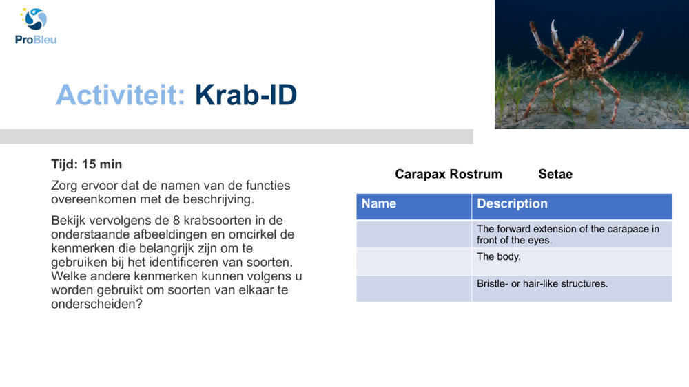 Activiteit: 
