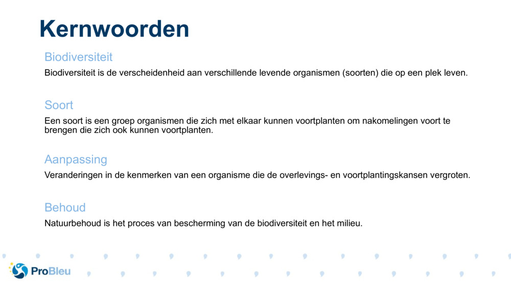 Kernwoorden