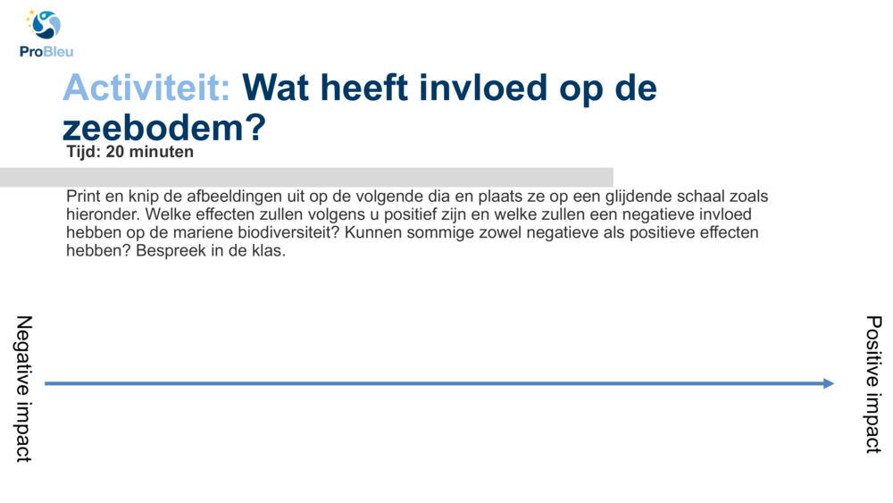 Activiteit: 