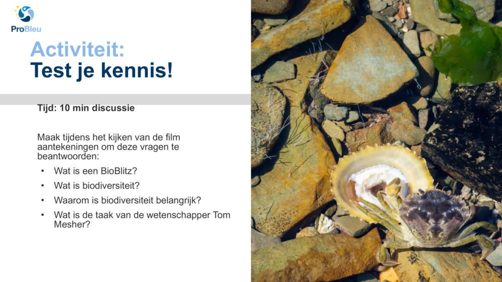 Activiteit: 