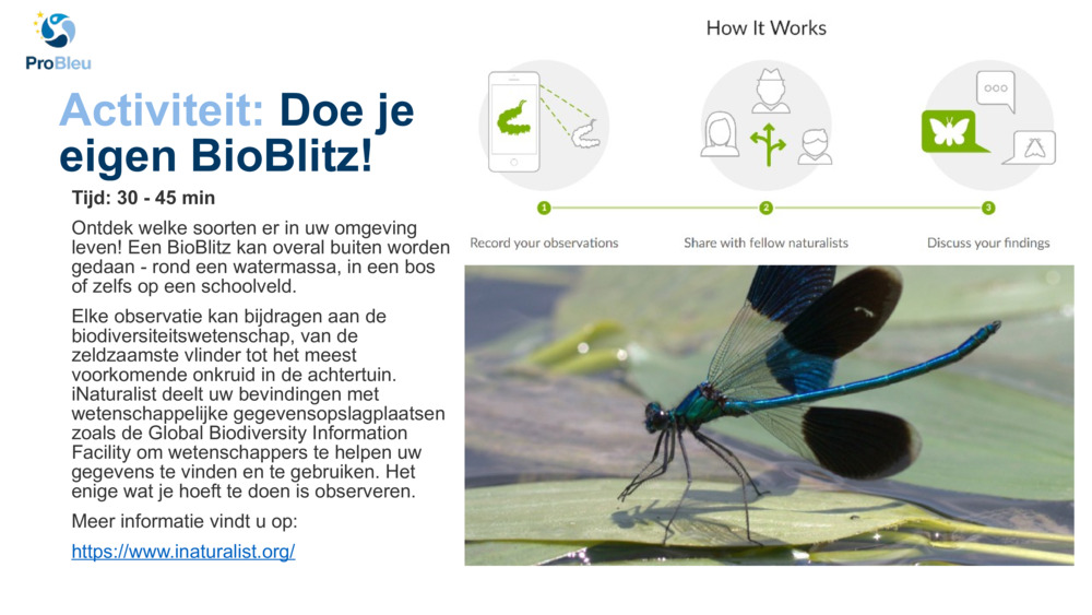 Activiteit: 
