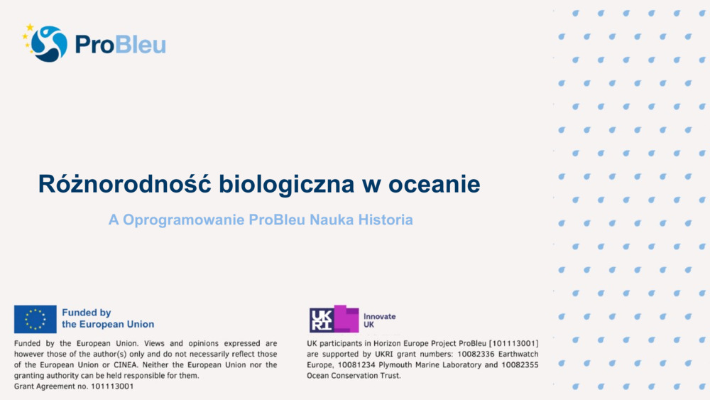 Różnorodność biologiczna w oceanie