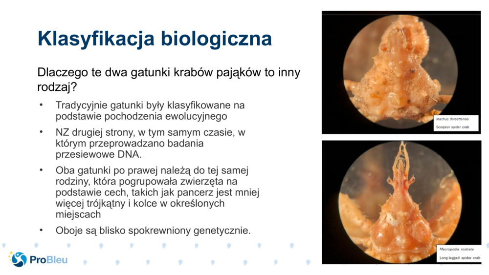 Klasyfikacja biologiczna 