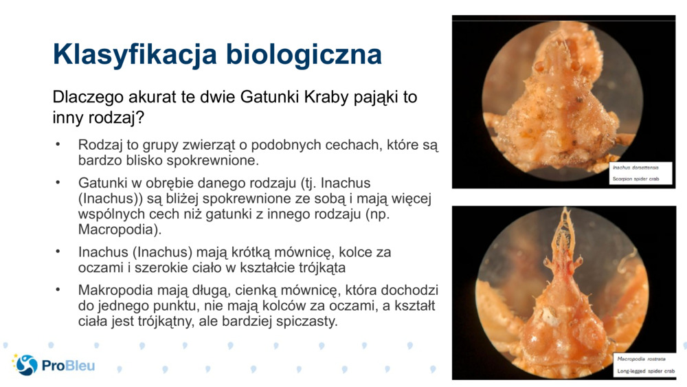 Klasyfikacja biologiczna 