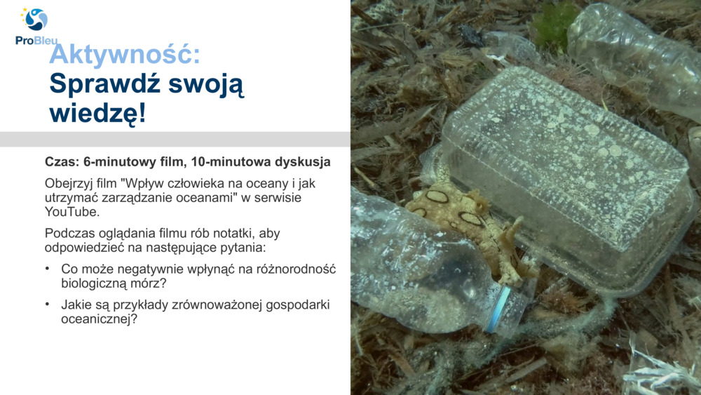 Aktywność: 