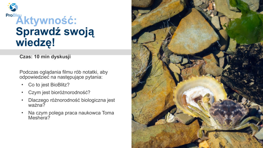 Aktywność: 