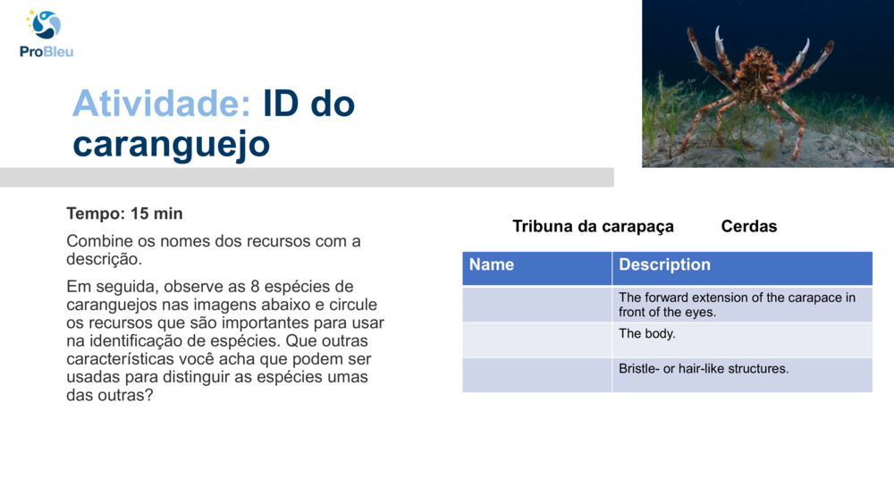 Atividade: 