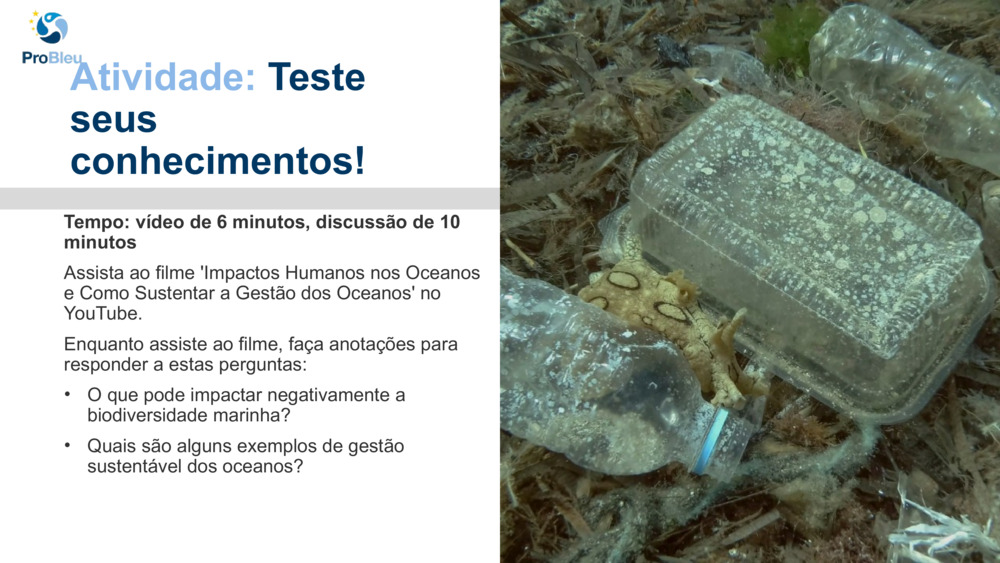 Atividade: 