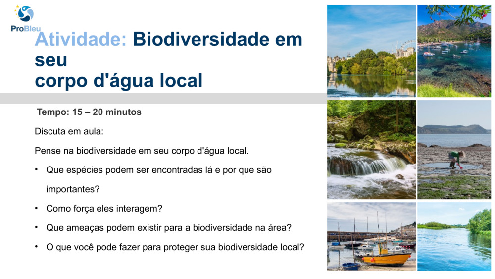 Explorando a biodiversidade com o Laboratório Marinho de Plymouth