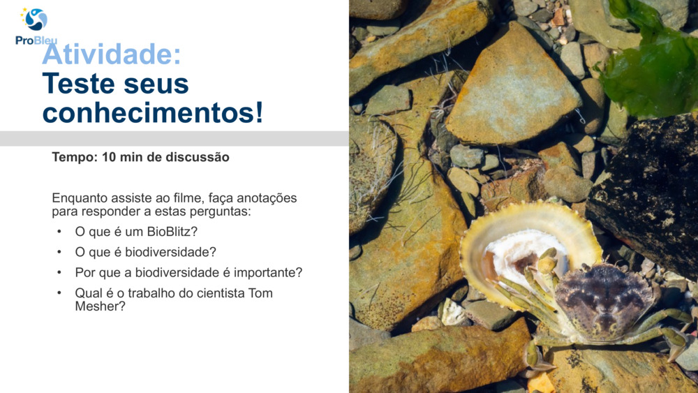Atividade: 