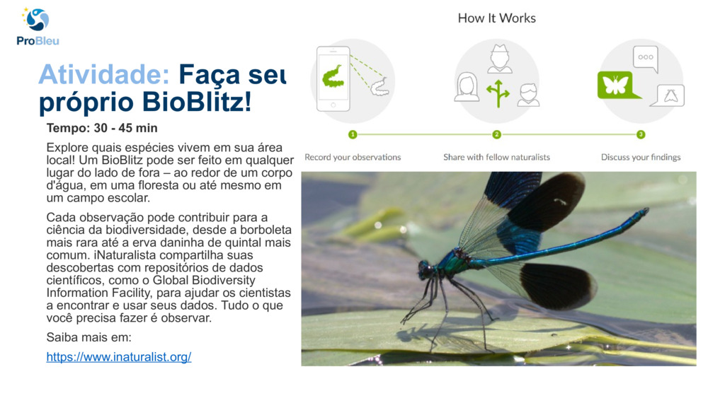 Atividade: 