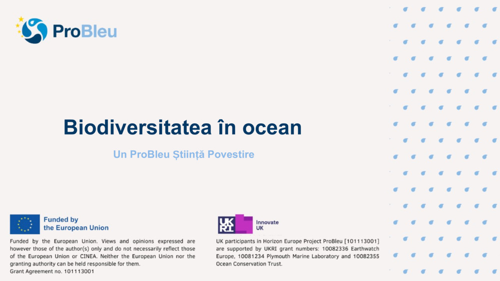 Biodiversitatea în ocean