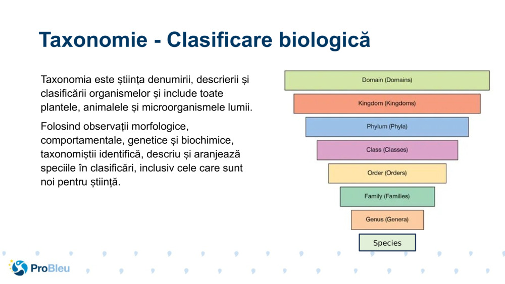 Taxonomia este știința denumirii, descrierii și clasificării organismelor și include toate plantele, animalele și microorganismele lumii.