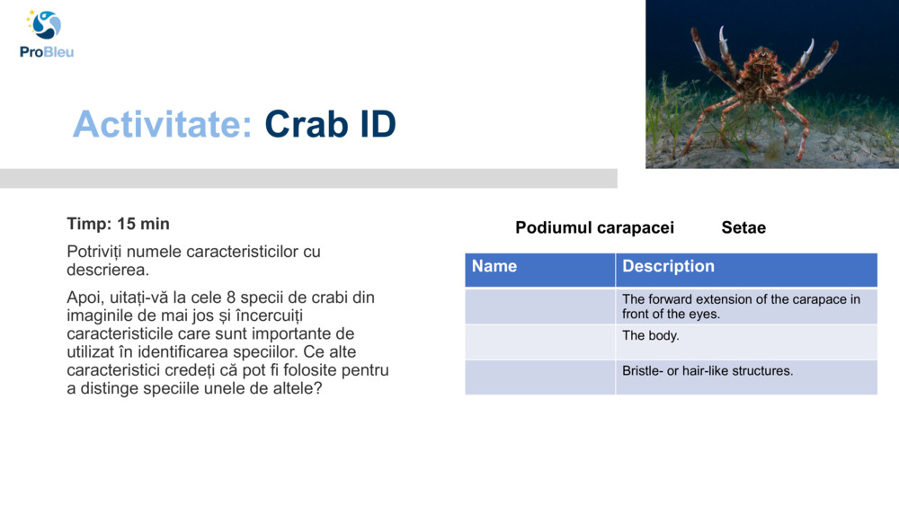 Activitate: 