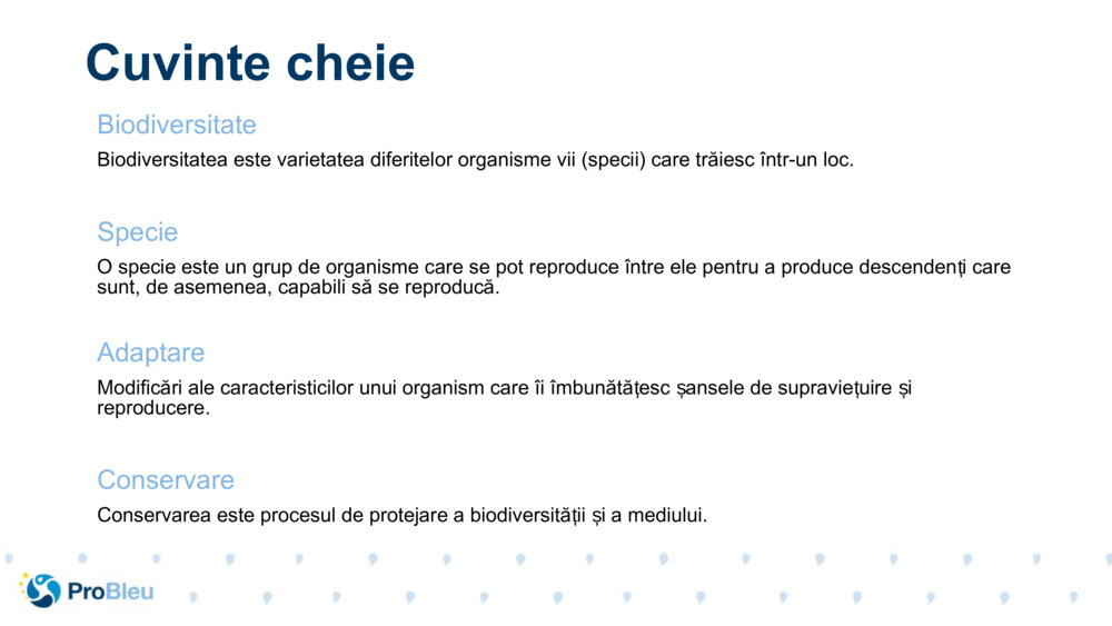 Cuvinte cheie