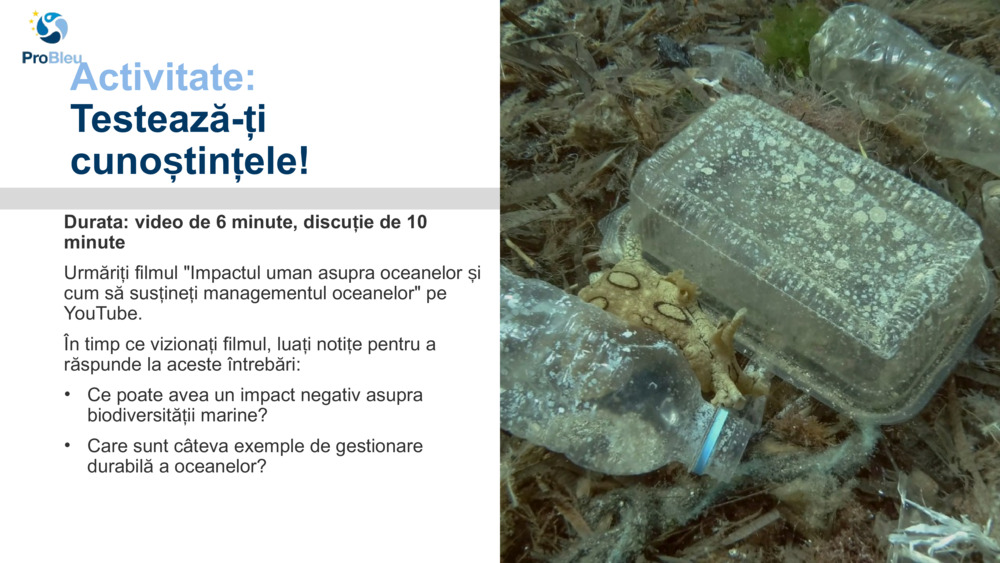 Activitate: 
