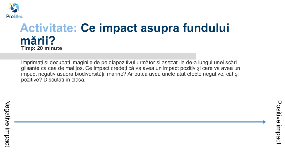Activitate: 