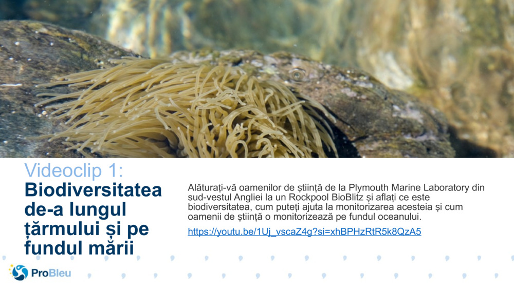 Videoclip 1: 
