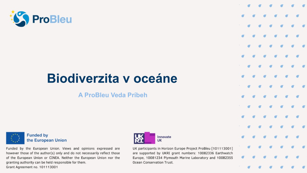 Biodiverzita v oceáne