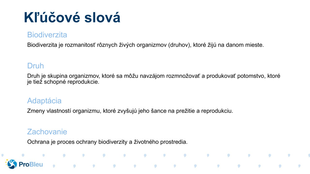 Kľúčové slová