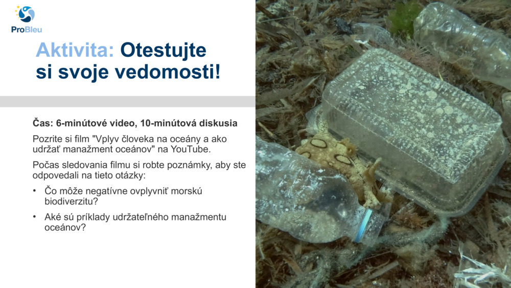 Aktivita: 